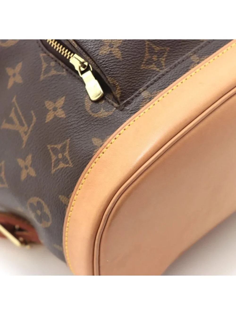 Louis Vuitton brand louis